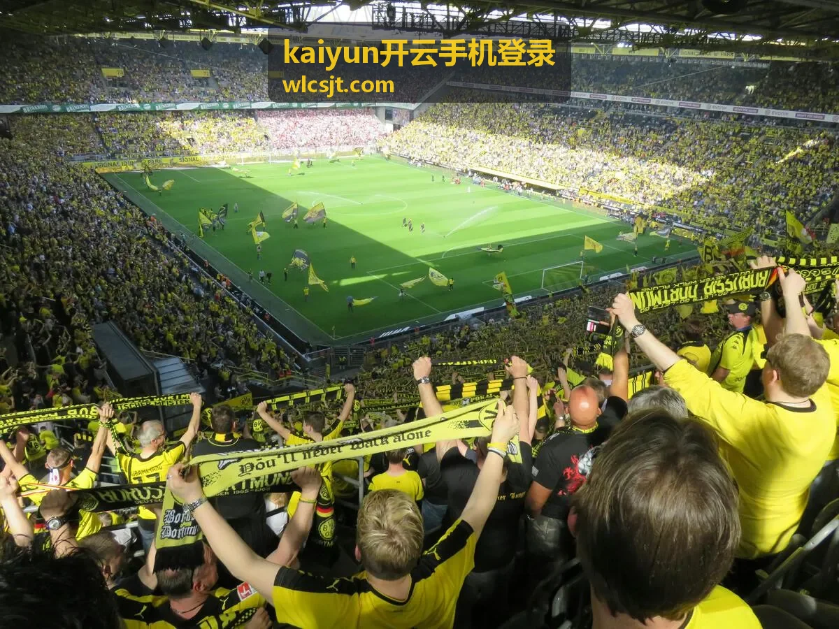 kaiyun开云手机登录后调整个人设置与快捷进入方式的界面示意