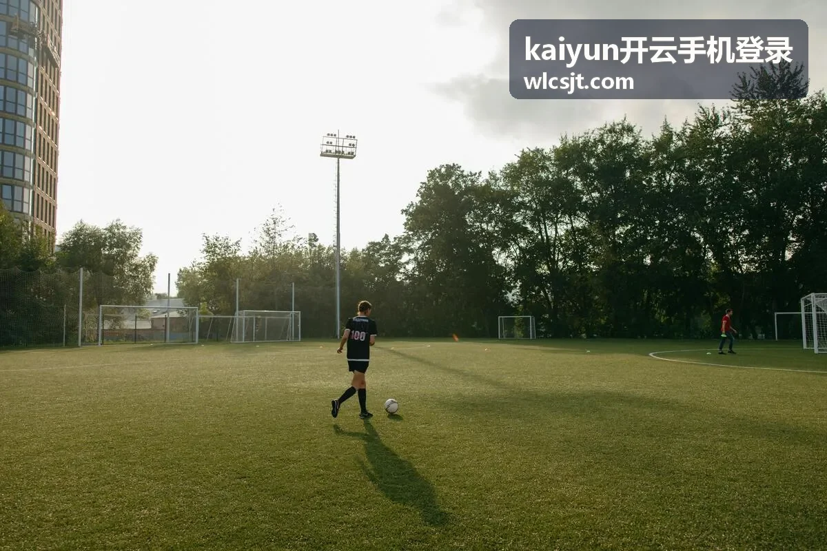 kaiyun开云手机登录过程中短信验证码校验的操作示意
