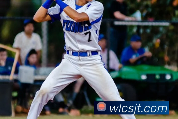 世界杯平台官网登录发展历程